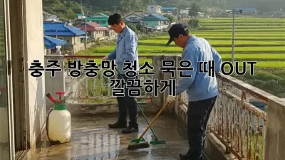 충주 방충망 청소🧹✨ 묵은 때 OUT! 깔끔하게 ✨