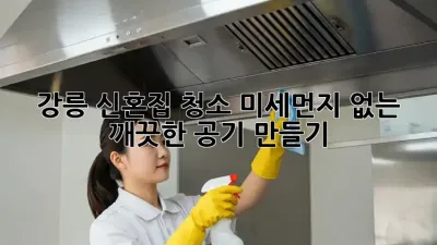 강릉 신혼집 청소: 미세먼지 없는 깨끗한 공기 만들기