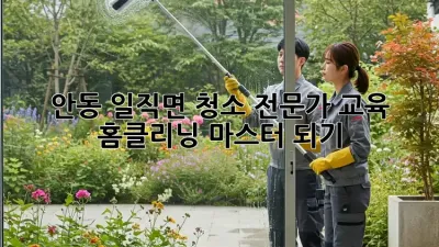 안동 일직면🏡 청소 전문가 교육: 홈클리닝 마스터 되기! ✨