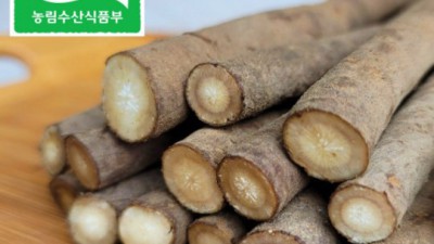 놓치면 후회! 자숙우엉 솔직후기 & 꿀팁 대방출 ✨